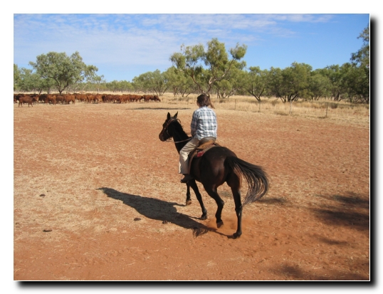 38 Die erste Sekunden auf dem Pferd